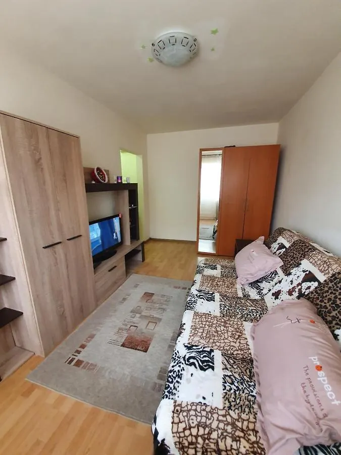 Studio Panduri kontakter